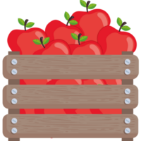 apple fresh fruits in basket png