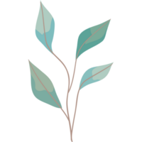 follaje de la planta de hojas verdes png