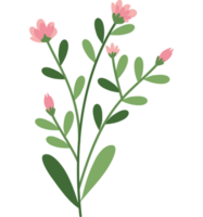 jardin de fleurs roses png