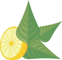 citron fruit et feuilles png