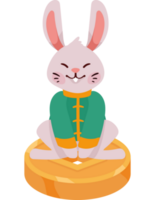 asian rabbit in coin png