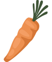 verdura fresca di carota png