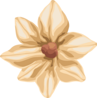 jardin de fleurs jaunes png