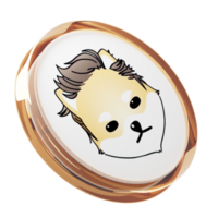 dogelon fördärvar ,elon glas crypto mynt 3d illustration png