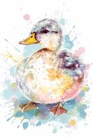 duck nursery pastel on white background photo