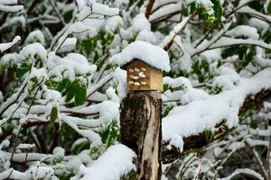 masón abeja casa en el nieve foto