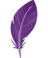 pluma de mardi gras púrpura png