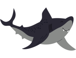 shark sealife animal png