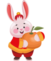 chinese rabbit with orange png