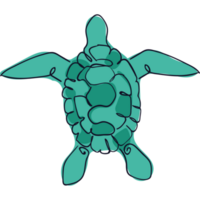 groene schildpad dier png