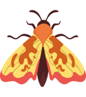 orange moth insect animal png