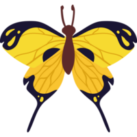 schattige gele vlinder png