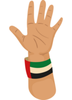 bandera de los emiratos árabes unidos en la pulsera png