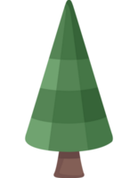 pine coniferus tree png