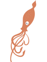 animale della vita marina del calamaro png