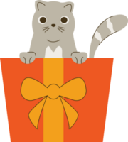 little cat in gift png