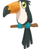 söt toucan bebis png