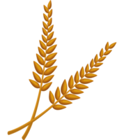 golden barley spikes png