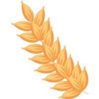 spiga d'orzo dorato png