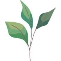 green branch with leafs png