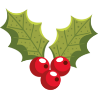 mistletoe seeds and leafs png