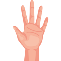 hand människa stoppar png