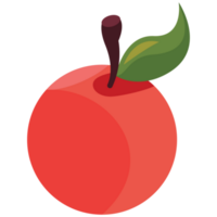 orange citrusfrukter png