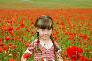 A girl collects poppy flowers photo