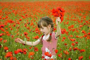 A girl collects poppy flowers photo