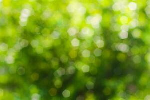 green abstract bokeh, green background photo