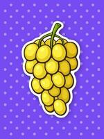 Sticker a bunch of grapes with oval green berries vector