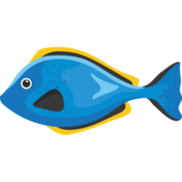 animale marino pesce azzurro png