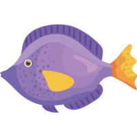 purple fish sealife animal png