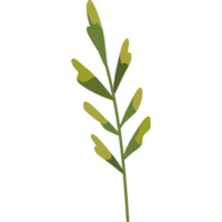 branch with leaves png