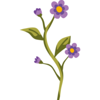 lilla fiori giardino png