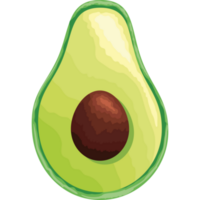 fresh avocado vegetable png