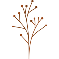 branch with seeds png