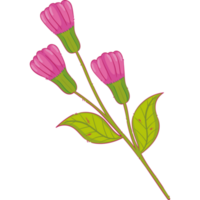 roses flowers with leafs png