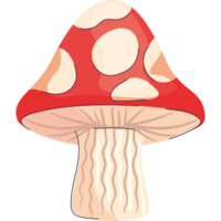 champignon plante jardin nature png