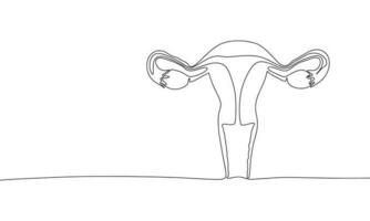 Woman reproductive system, one line continuous. Line art outline vector illustration of organs