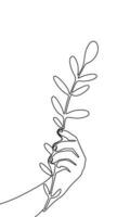 Human hand holding a branch with leaves, continuous line drawing element isolated on white background for decorative element. Vector illustration of nature form in trendy outline style.