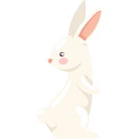 animalito conejo blanco png