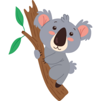 koala exotisches australisches tier png