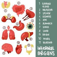 A set of color vector illustrations of human internal organs with captions. Suitable for printing, Internet and presentations. Simple illustrations of organs in a flat style. Cartoon, tutorial, books