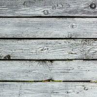 shabby white painted planks close up of old fence photo