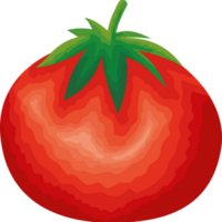 färsk tomatgrönsak png