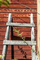 old wooden ladder is leaning against wall photo
