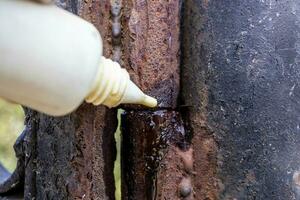 rusty hinge is lubricating with oil from oiler photo