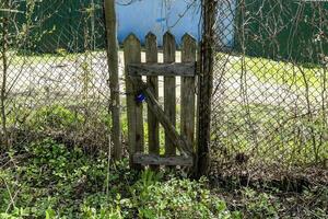 old shabby wooden wicket in chain-link fence photo