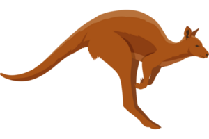 Känguru australisches Tier png